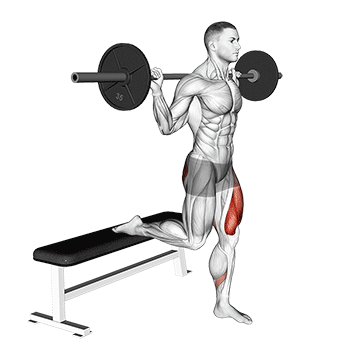 Barbell Bulgarian Split Squat demonstration