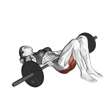 Barbell Glute Bridge demonstration