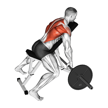 Barbell Incline Row demonstration