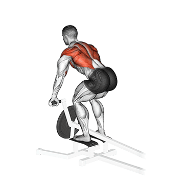 Bent Over T-Bar Row demonstration