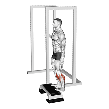Bodyweight Elevated Calf Raise demonstration
