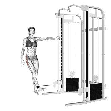 Cable Hip Abductor demonstration