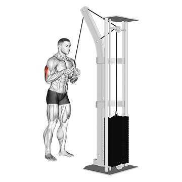 Cable V Bar Pushdown demonstration