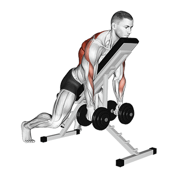 Chest Supported Dumbbell Row demonstration