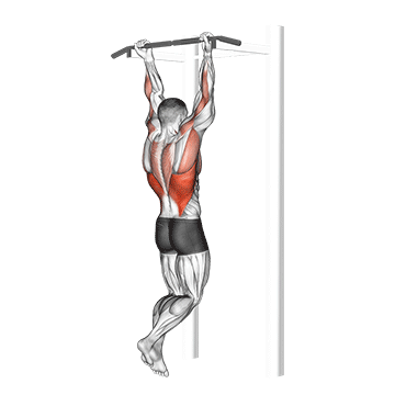 Chin Up demonstration