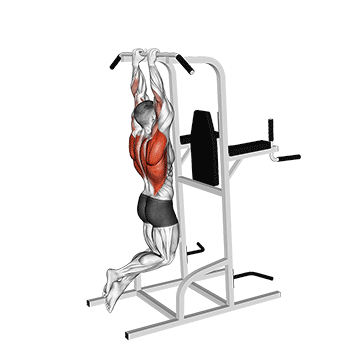 Close Grip Pull Up demonstration