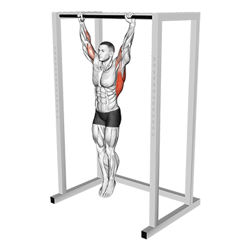 Dead Hang demonstration