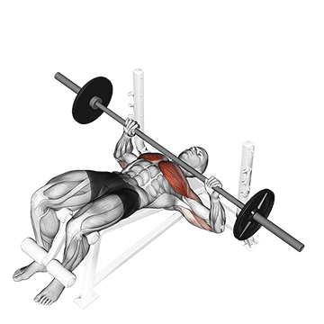 Decline Bench Press demonstration