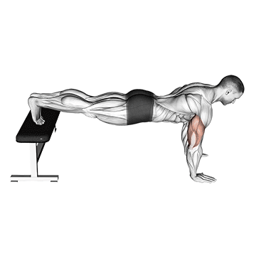 Decline Push Up demonstration