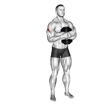 Dumbbell External Rotation demonstration