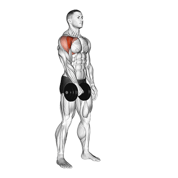 Dumbbell Front Raise demonstration