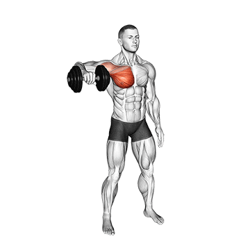 Dumbbell Internal Rotation demonstration