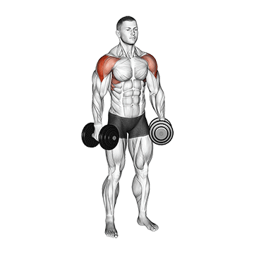 Dumbbell Lateral Raise demonstration