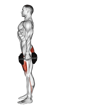 Dumbbell Reverse Lunge demonstration