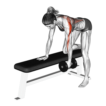 Dumbbell Row demonstration