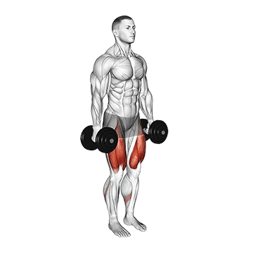 Dumbbell Squat demonstration