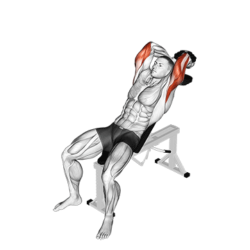Dumbbell Tricep Extension demonstration