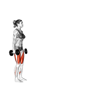 Dumbbell Walking Lunge demonstration