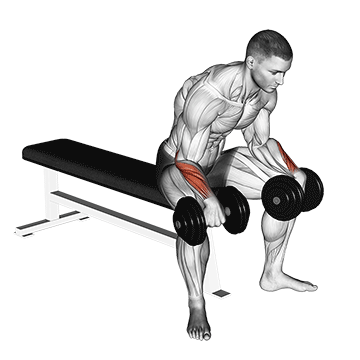 Dumbbell Wrist Extension demonstration