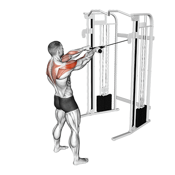 Face Pull demonstration