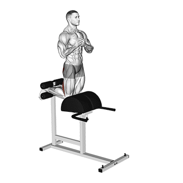 Glute Ham Raise demonstration