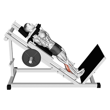 Hack Squat Calf Raise demonstration