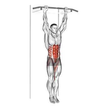 Hanging Knee Raise demonstration