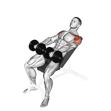Incline Dumbbell Front Raise demonstration
