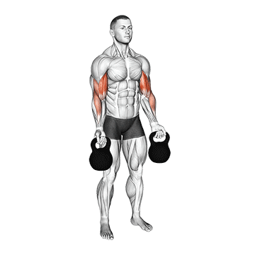 Kettlebell Bicep Curl demonstration