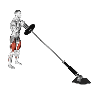 Landmine Squat demonstration