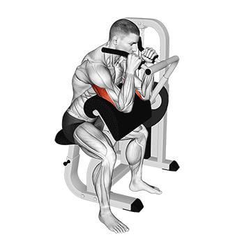 Machine Tricep Extension demonstration