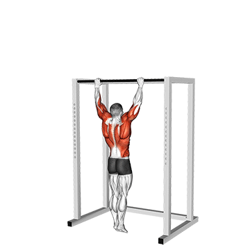 Muscle-Up demonstration