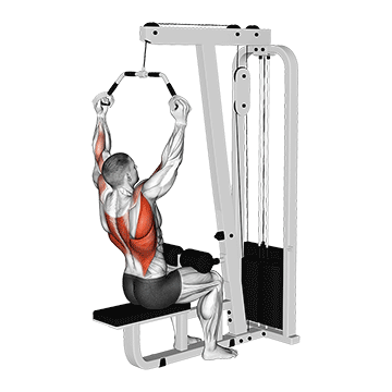 Neutral Grip Pulldown demonstration