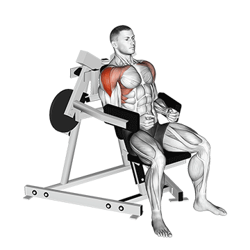 Plate Loaded Machine Lateral Raise demonstration