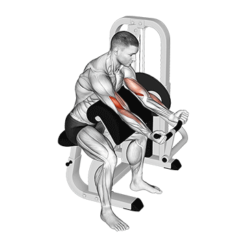 Preacher Curl Machine demonstration