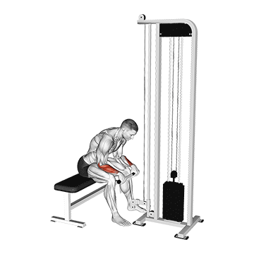 Reverse Cable Wrist Curl demonstration