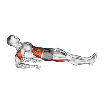 Reverse Plank demonstration