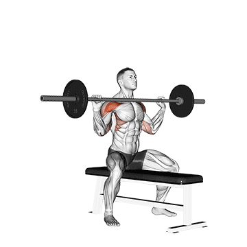 Seated Barbell Overhead Press demonstration