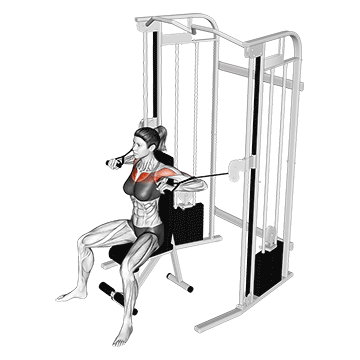Seated Chest Press Machine demonstration