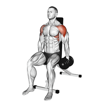 Seated Lateral Raise demonstration