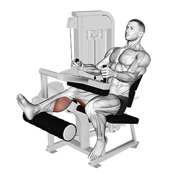 Seated Single Leg Leg Curl demonstration