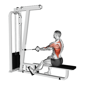 Single Arm Cable Row demonstration
