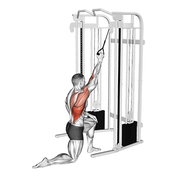 Single Arm Lat Pulldown demonstration