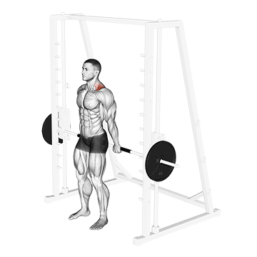 Smith Machine Behind the Back Shrug demonstration