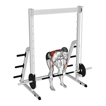 Smith Machine Row demonstration