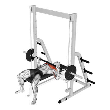 Smith Machine Bench demonstration