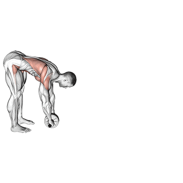 Standing Wheel Rollout demonstration