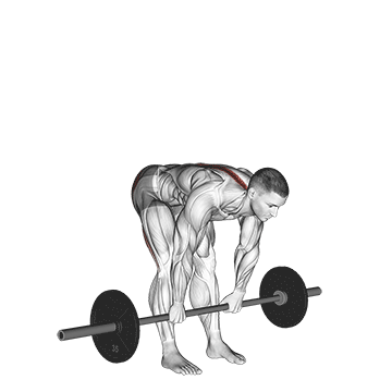 Stiff Legged Deadlift demonstration