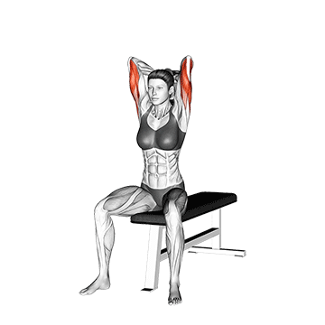 Tricep Extension demonstration