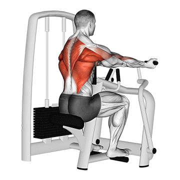 Underhand Grip Seated Machine Row demonstration